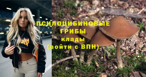 тгк Баксан