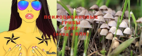 apvp Балабаново