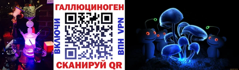Псилоцибиновые грибы прущие грибы  даркнет сайт  Покровск 